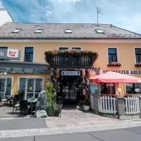 Hotel Restaurant Schwarzer Adler, Hotel in Friedberg