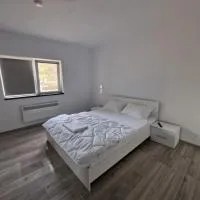 Cazare Ineu 2 – hotel w mieście Ineu
