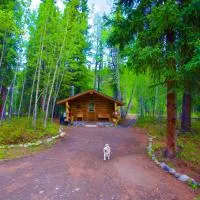 Carlo Creek Cabins, hotel u gradu McKinley Park