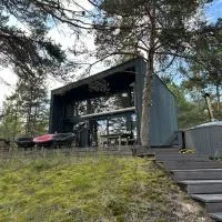 Privaatne saunamajaga suvila Peipsi kaldal, отель в городе Katase