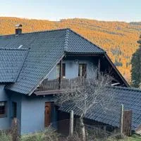 Apartmán U Vachtů - První Patro, hotel a Kubova Huť