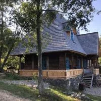 Poiana Creasta Cocoșului-Casa Floare De Nu Mă Uita, ξενοδοχείο σε Breb