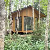 Paunküla Nature Villa, hotel in Silmsi