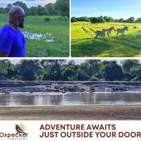 Oxpecker Safari Lodge, hotel  v blízkosti letiska Mfuwe - MFU