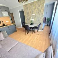 Trumpalaikė buto nuoma Plungėje STUDIJA A, hotel em Plungė