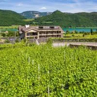 Garni Hotel Sonnleitenhof, hotel in Caldaro