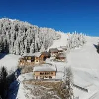 MoselebauerAlm, hôtel à Klippitztorl