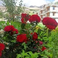 The Mount View Retreat, hotel u gradu Nako