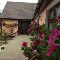 Eriu Lodge, hotel em Clifden