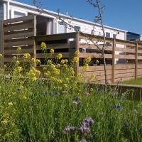 a house with a fence and a field of flowers at Vakantie Chalet Makkum
