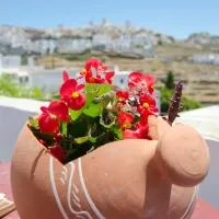 Pension Hlias - Chora Amorgos, hotel in Amorgós