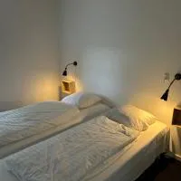 Ammitsbøl Apartment A, отель в Вайле