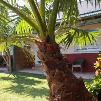 Casablanca El Petit Hotel, hotel u gradu 'Deltebre'