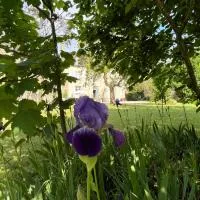 La Demeure d'Euphrosine, готель у місті Fresnay-sur-Sarthe