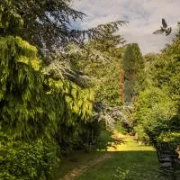Ward Avenue B&B, viešbutis mieste Kousas
