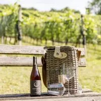 Monschein Weingut Straden, hotel en Straden