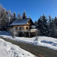 La Lézardière - Chalet spacieux près des pistes, hotel i La Toussuire