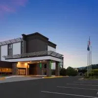 Holiday Inn Roanoke-Tanglewood-Rt 419&I581 by IHG, hotel in Roanoke