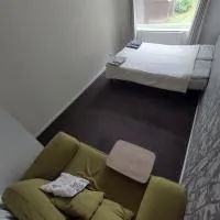 Homestay near a station and park, hotel en Longbridge