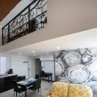 T2 Duplex Amore Amore Wifi Clim, hotel a Villefranche-de-Rouergue