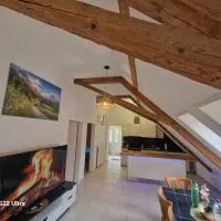 LOFT WINTERZEIT - NEAR INTERLAKEN SPIEZ THUN - Wandern und Skifahren, Hotel in Wimmis