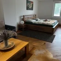 Apartmány MonTexas، فندق في Staměřice