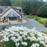 FOREST VIEW Woodland lodge – hotel w mieście Ballard