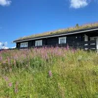 Hytte med panoramautsikt i Uvdal, hotel sa Nørdstebø
