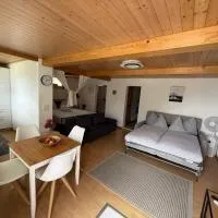Studio with lake and mountain view, hotel u gradu 'Spiez'