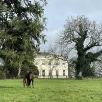 Lismacue House, hotel din Bansha