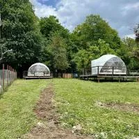 Nikorstminda glamping - Batoni's forest, hotel sa Ambrolauri