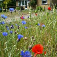 BoHer Holiday Home