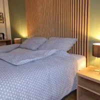 Apartmani i sobe PARK, hotel v mestu Apatin