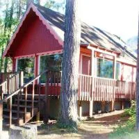 Mt Rainier Little Red Cabin, hotel sa Ashford