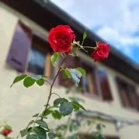 Krautscheid में, होटल Ferienhaus Auf dem Knapp