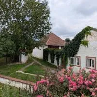Chaloupka u Mostu sv Jana v centru Vodňan, hotel a Vodňany
