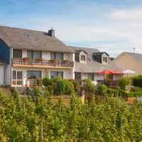 Pension und Weingut Moselblick, hotel em Brauneberg