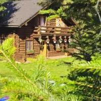 Cabana Daria Arieseni, hotel sa Arieşeni