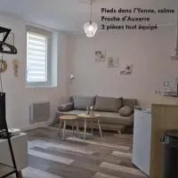 Logement de caractère au centre historique Joigny Zen 1, ξενοδοχείο σε Joigny
