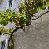 Les Chambres de Nelly, hotel a Cravant-les-Coteaux