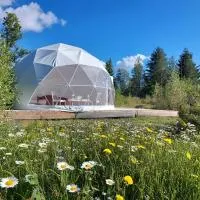 Bubble House glamping telk, hotel din Sõmeru