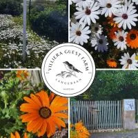 Villiera Guest Farm، فندق في لانجيبان
