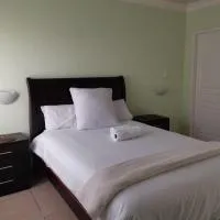 Mahlambandlopfu Presidential Guest House، فندق في Carletonville