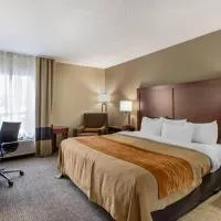 Comfort Inn Walcott near Davenport, hotel en Walcott