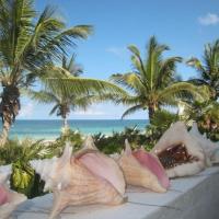 HoHum - Private Beachfront House on Exclusive Windermere home，位于Savannah SoundSouth Eleuthera - RSD附近的酒店