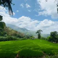 Wow Field Homestay, hotell Ellas