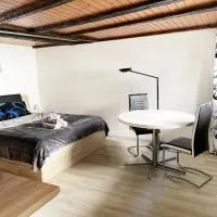 Studio Saignelégier de plain pied, отель в городе Сеньлежье