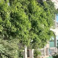 Вилла Александра, hotel en Bolʼshaya Balka