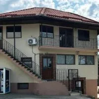 Casa Rizea – hotel w mieście Râmnicu Vâlcea