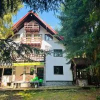 Casa Mario, hotell i Dragoslavele